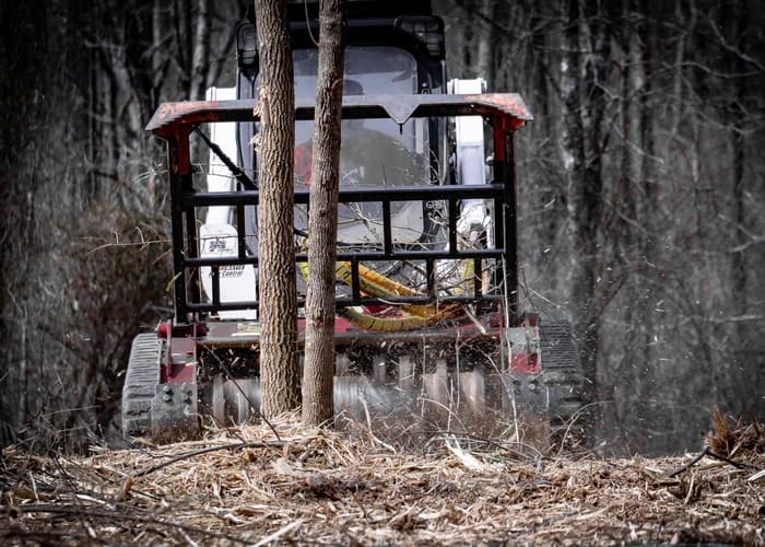 Forestry Mulching — Tree Line